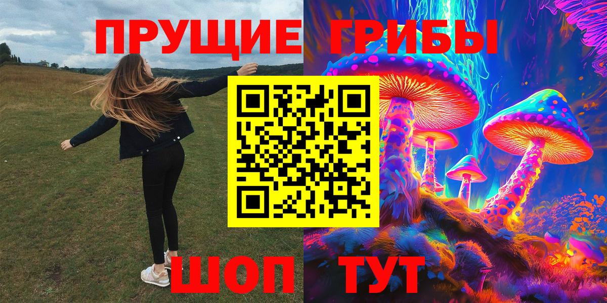 Галлюциногенные грибы Psilocybe Казань